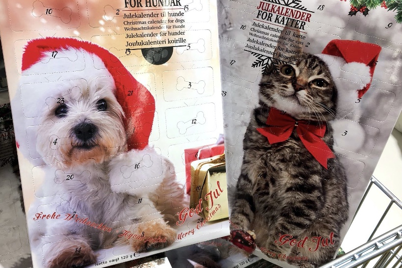 eläinten joulukalenterit