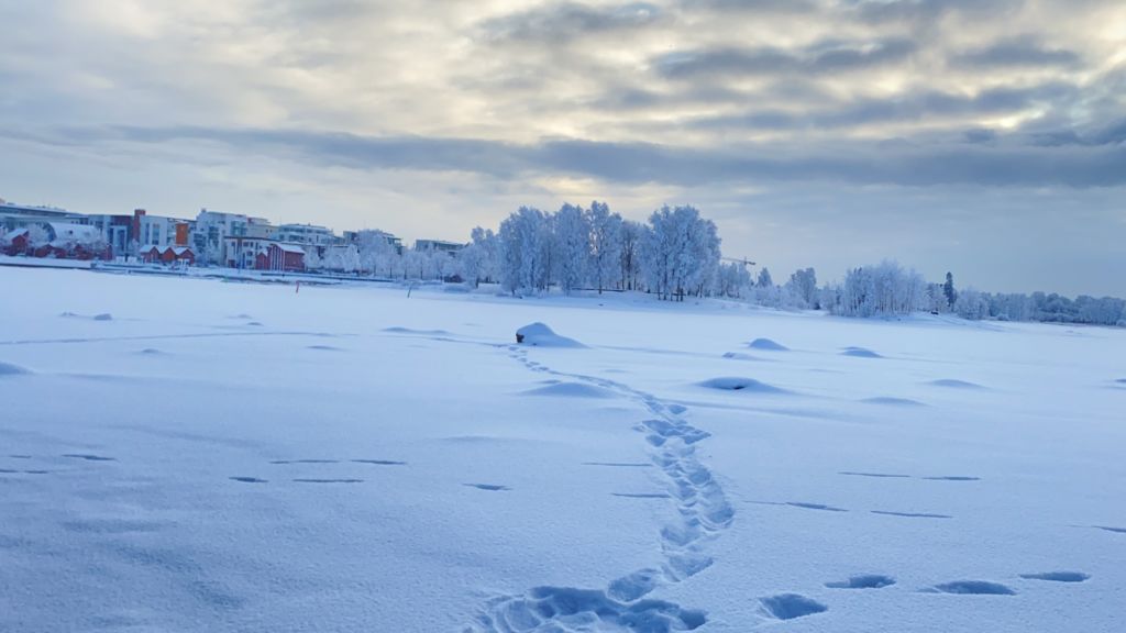 Luminen maisema Oulussa, jalajälkiä pakkaslumella.