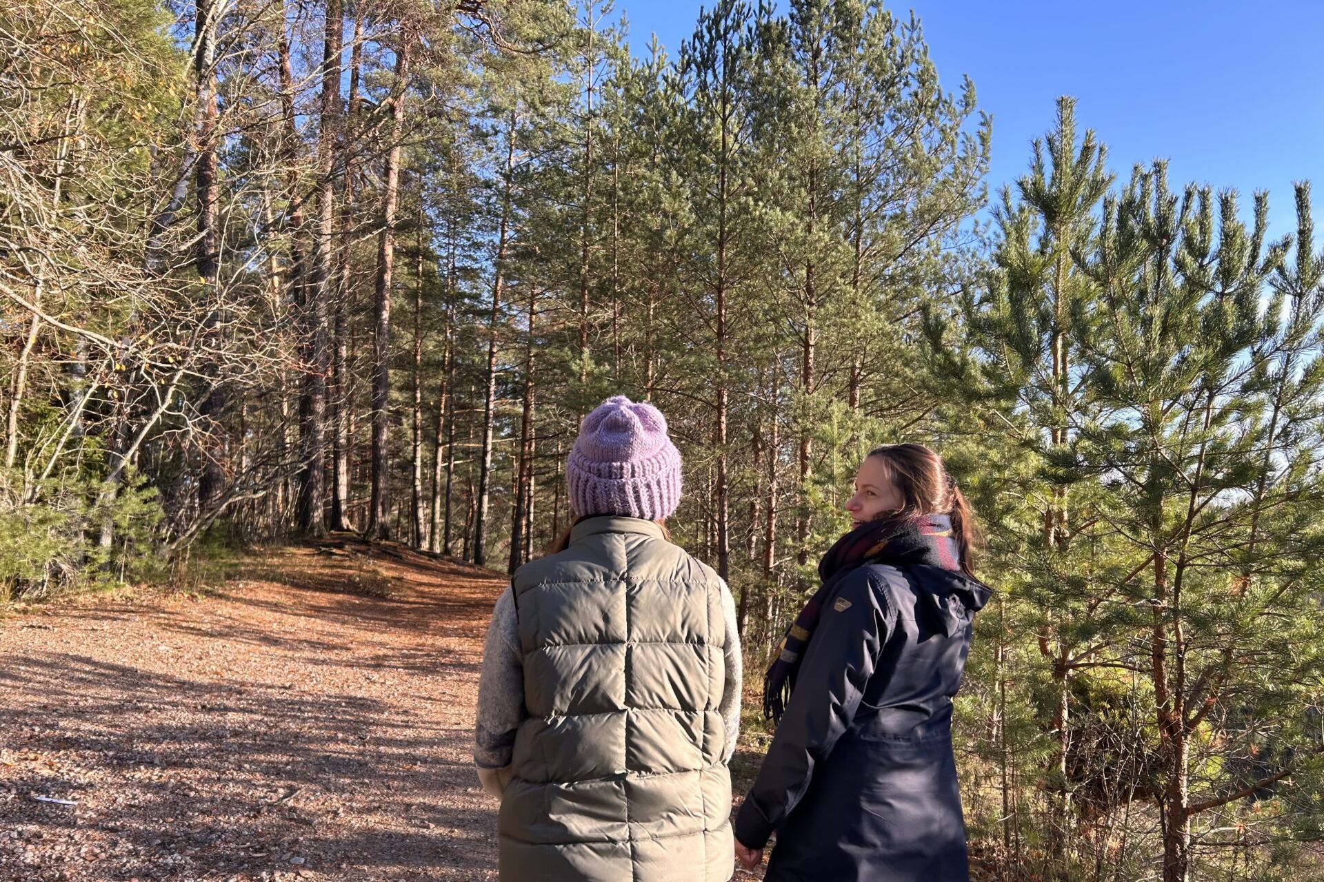 Biodiversiteettipuiston hankekoordinaattori Selina Raunio (vas.) ja hankepäällikkö Annika Pöyhtäri kävelevät Turun Skanssissa kohoavalla harjulla, joka on toiminut 70-luvulla muun muassa soranottoalueena. Kuva: Emma Karjalainen