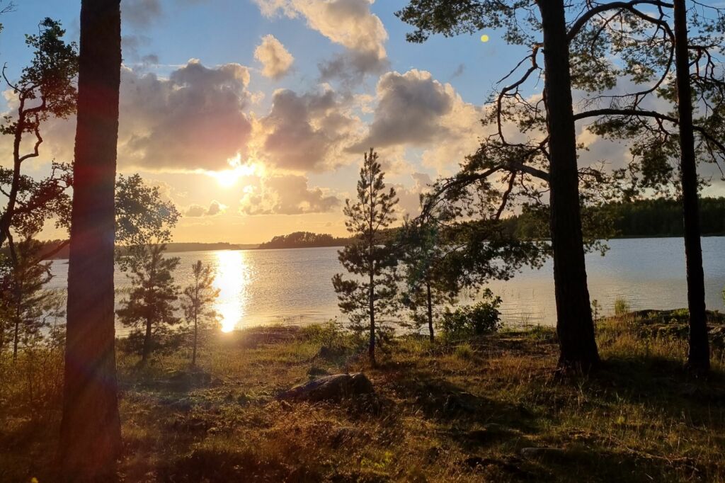 Merimaisema auringonlaskun aikaan