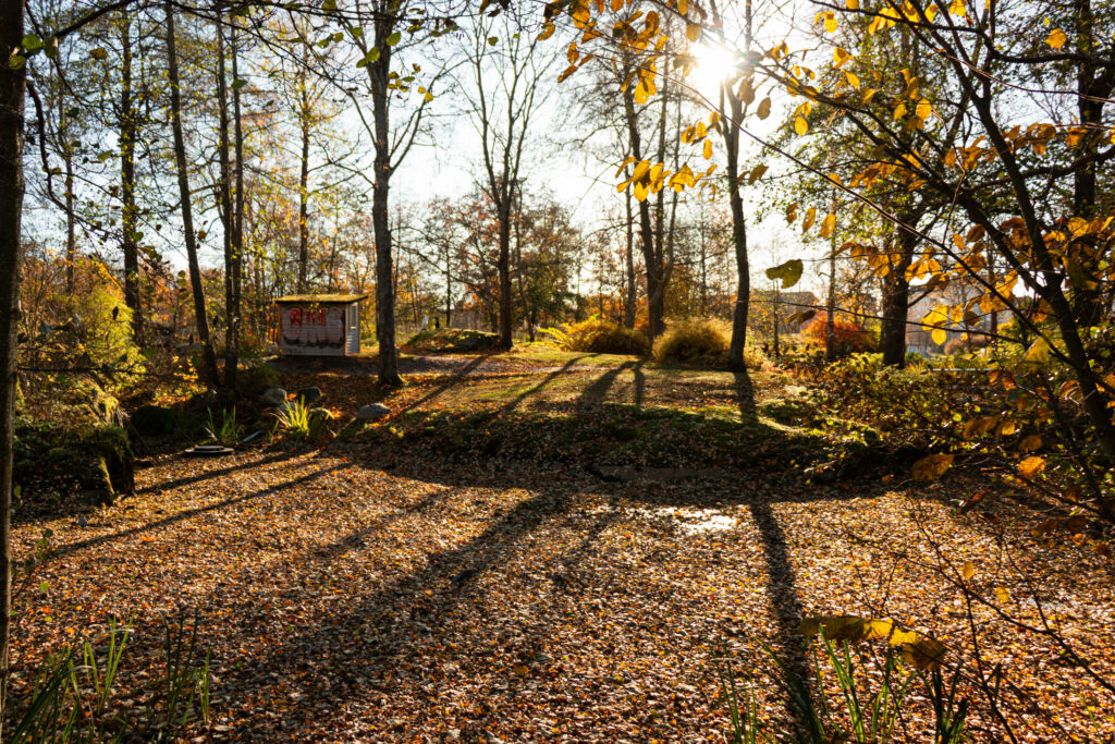 Maisemakuva tyhjennetystä lammesta urheilupuistossa.