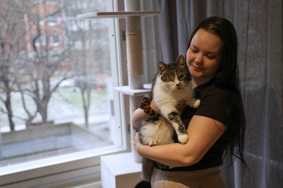 Kissan sijaiskotina toimiva henkilö pitää eläinsuojeluyhdistyksen omistamasta kissasta huolta niin kauan, että adoptiokoti löytyy. Sijaiskotina aikaisemmin toimineen Juuli Aaltosen Harri-kissa on adoptoitu Dewi ry:ltä. Kuva: Veera Kulonen