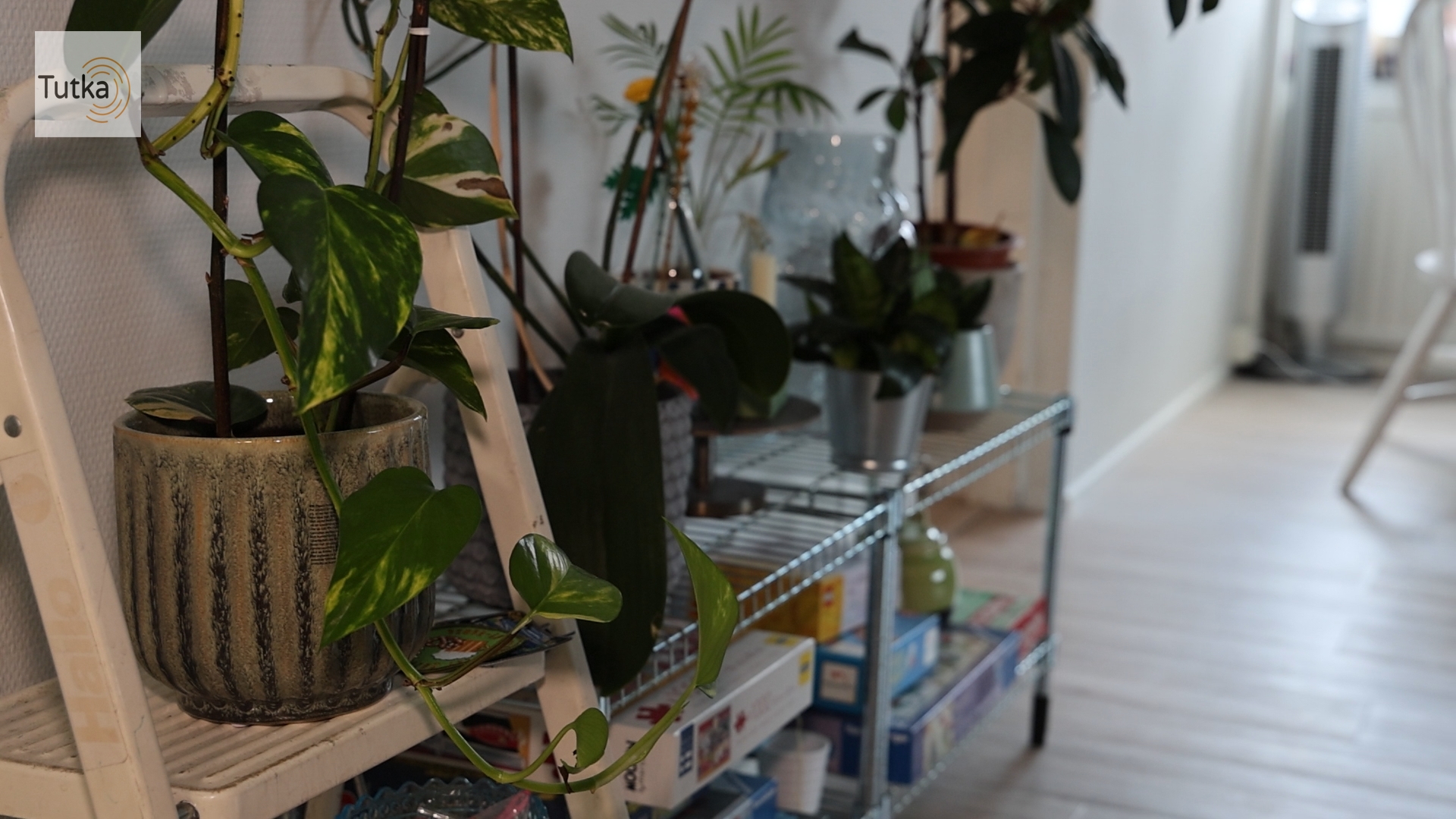 Kuva: Joel Hallenberg